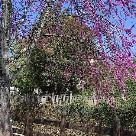 Сasa de vacaciones Maison Au Pied De La Montagne *