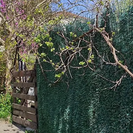 Maison Au Pied De La Montagne Vakantiehuis