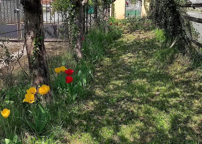 Maison Au Pied De La Montagne * Aspet
