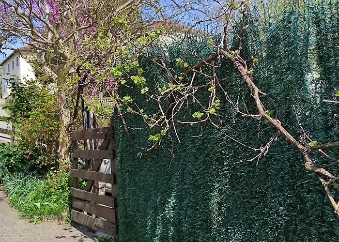 Maison Au Pied De La Montagne Vakantiehuis