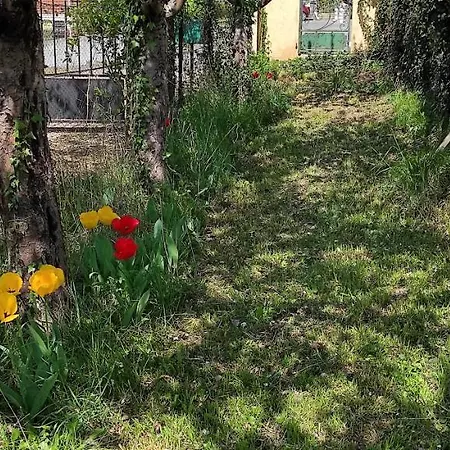 Maison Au Pied De La Montagne * Aspet