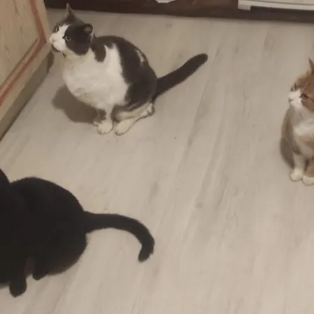 Maison Au Pied De La Montagne Nyaraló *