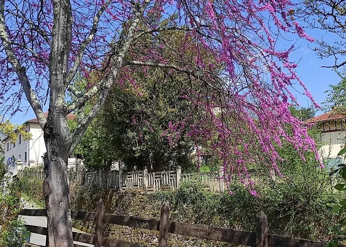 別荘 Maison Au Pied De La Montagne *